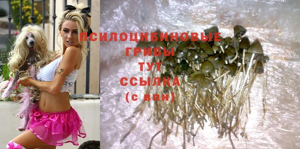 первитин Михайловка