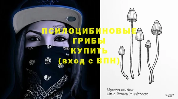 ГАЛЛЮЦИНОГЕННЫЕ ГРИБЫ Михайлов