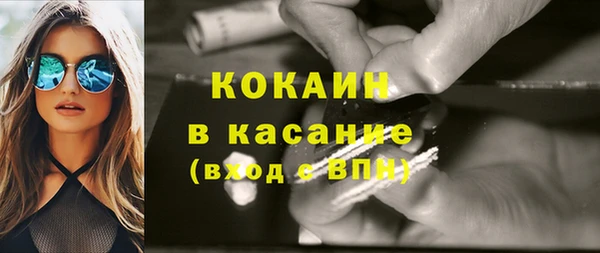 ГАЛЛЮЦИНОГЕННЫЕ ГРИБЫ Михайлов