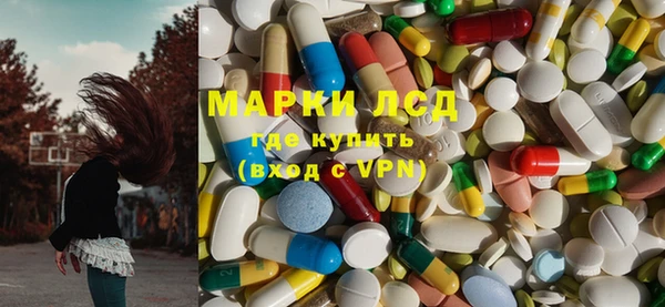ГАЛЛЮЦИНОГЕННЫЕ ГРИБЫ Михайлов