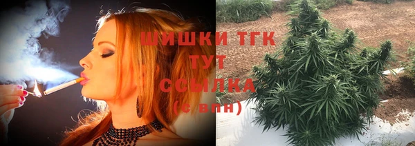 тгк Михайловск