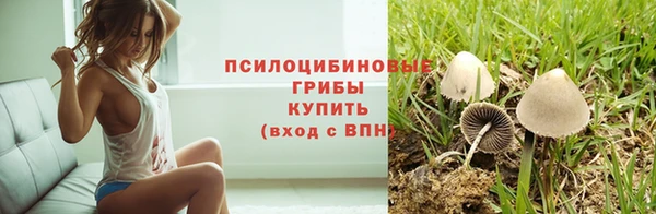 тгк Михайловск