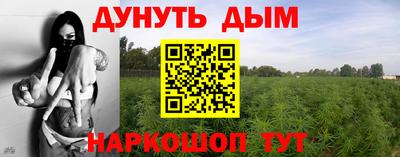 гидра Бийск