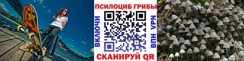 купить наркоту  Энгельс  Псилоцибиновые грибы Psilocybe 