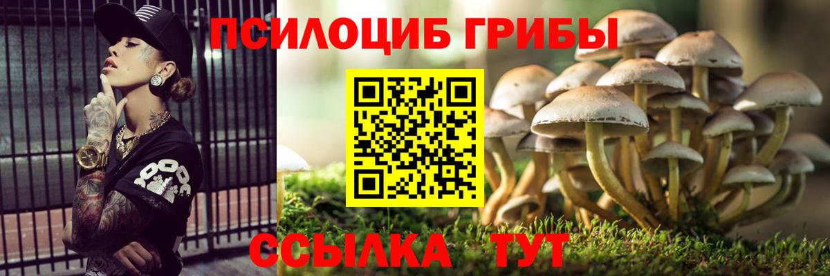 Галлюциногенные грибы Cubensis  купить наркотики сайты  Энгельс  Вход с VPN 