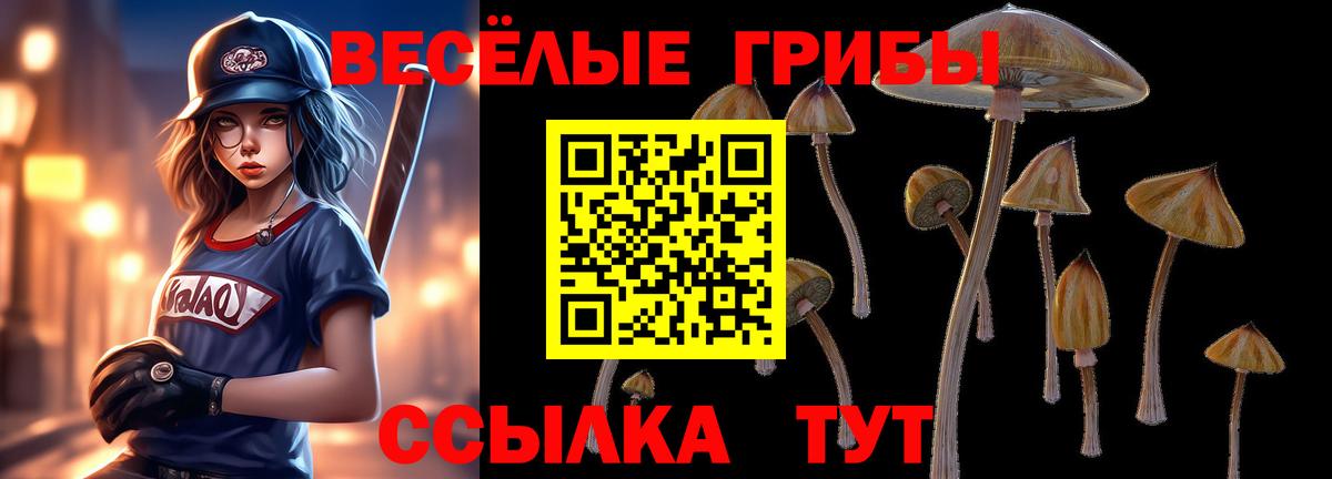 Псилоцибиновые грибы прущие грибы Энгельс